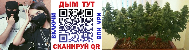 где можно купить   Белоусово  Конопля семена 